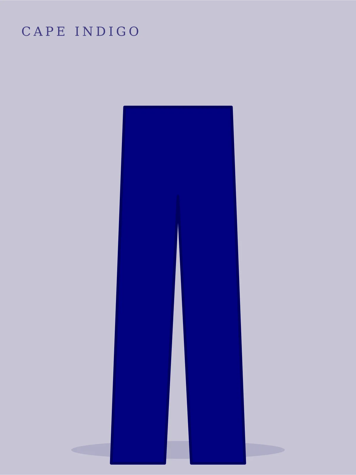 Woodstock Straight Jeans in navy blue